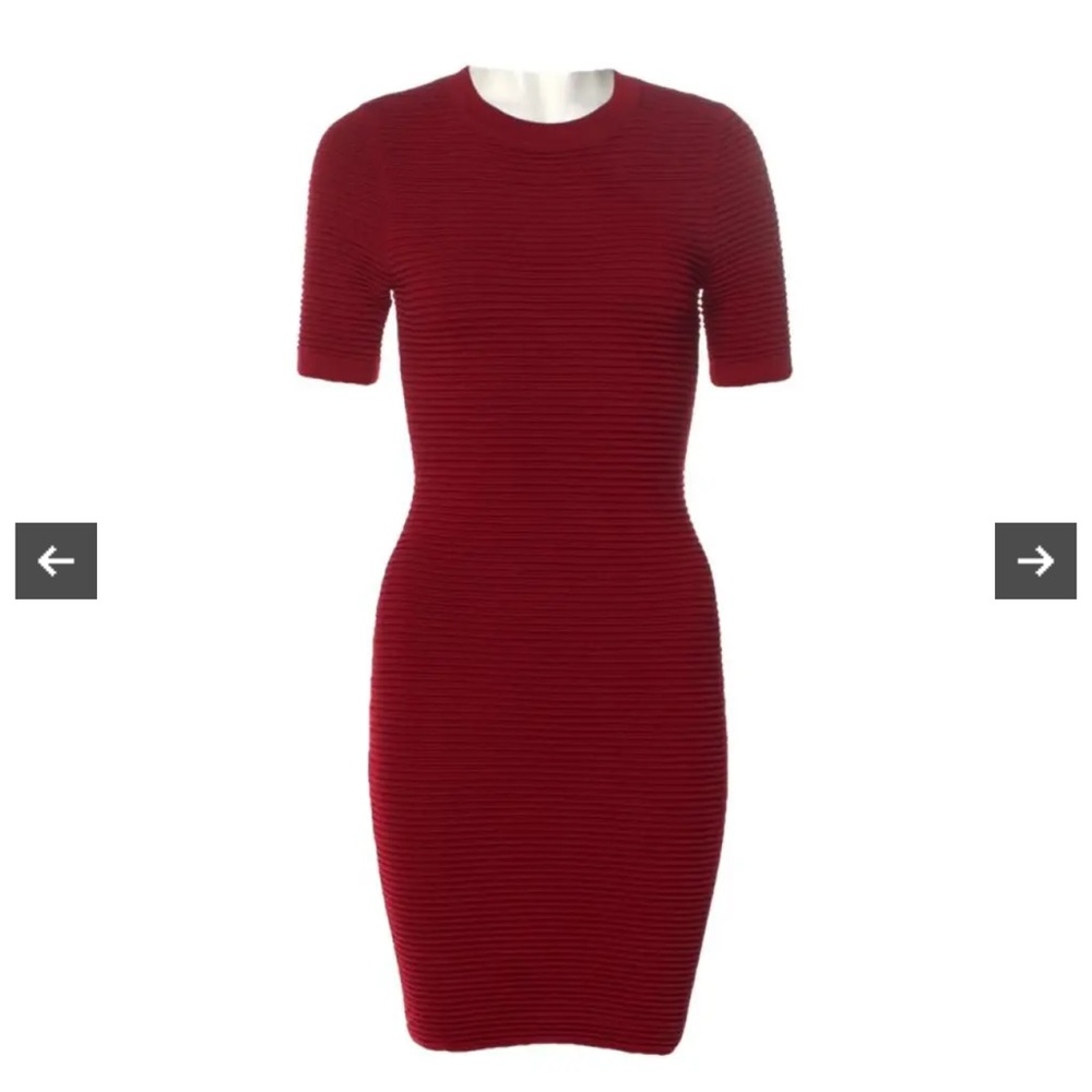 Torn by Ronny Kobo Ribbed Knit Sheath Dress Size S